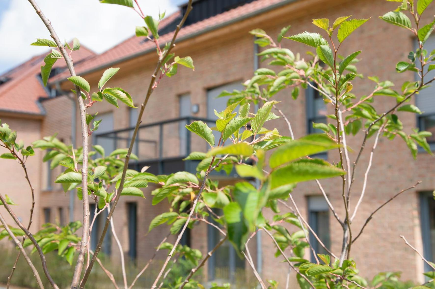 Wohnen Am Suedstrand - Ferienwohnung 0 4 Wyk auf Föhr Exterior foto